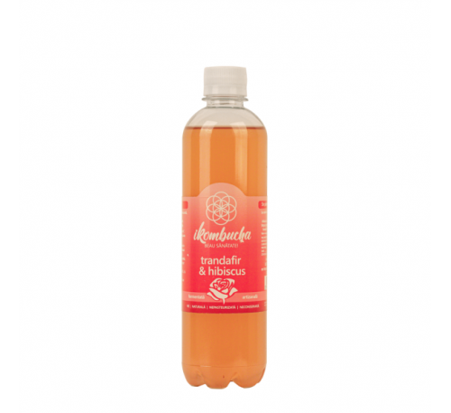 iKombucha,cu,trandafir,și,hibiscus,500 ml